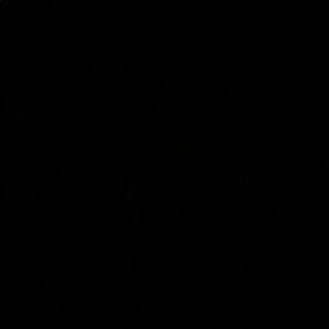 Meet your Posher, Luis